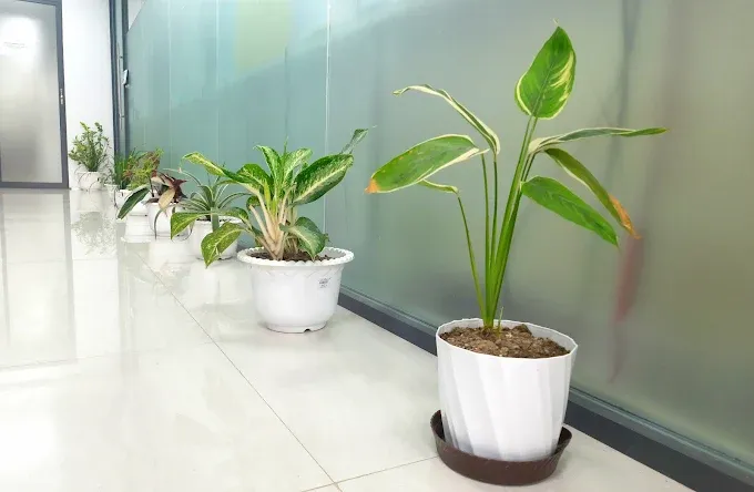 CrackTech Cumilla Office photo 6